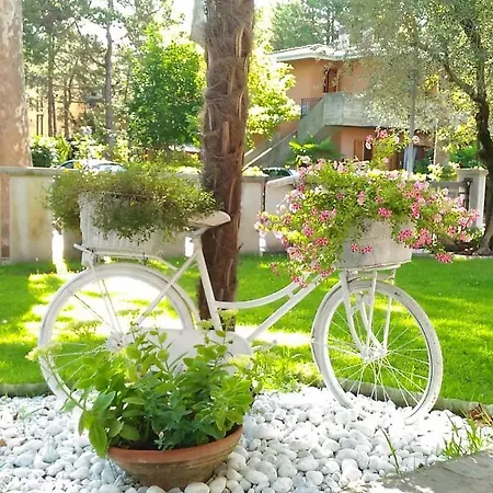 Villa Lisy *