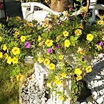Green Holiday Villa Daire *