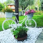 Green Holiday Villa *
