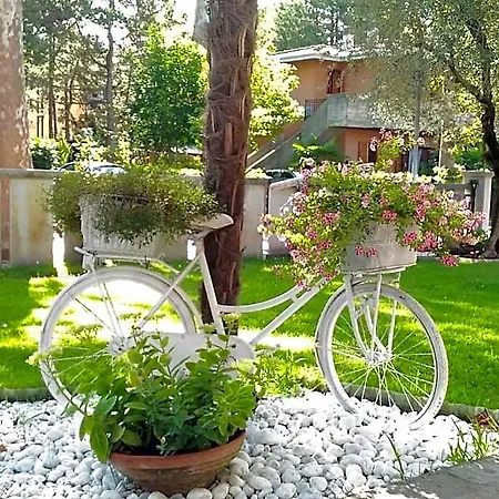 Green Holiday Villa 公寓 *