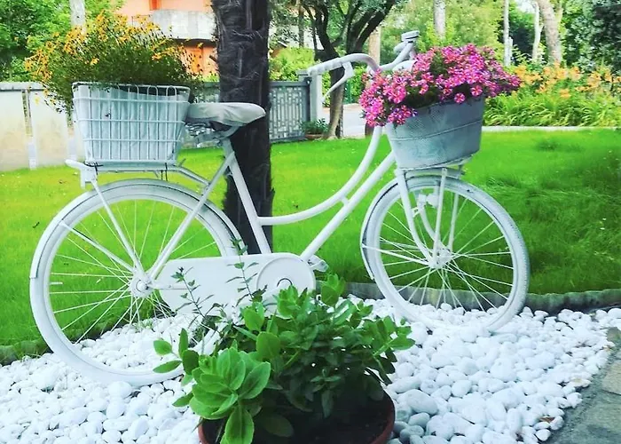 Green Holiday Villa *